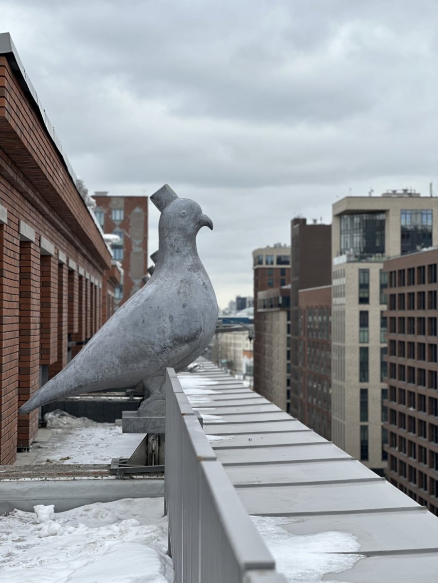 Гигантский голубь