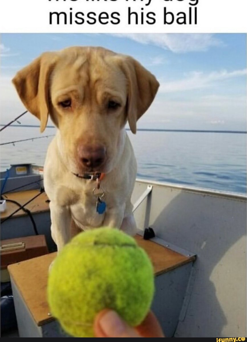 I Wish i could afford a Holiday a picture