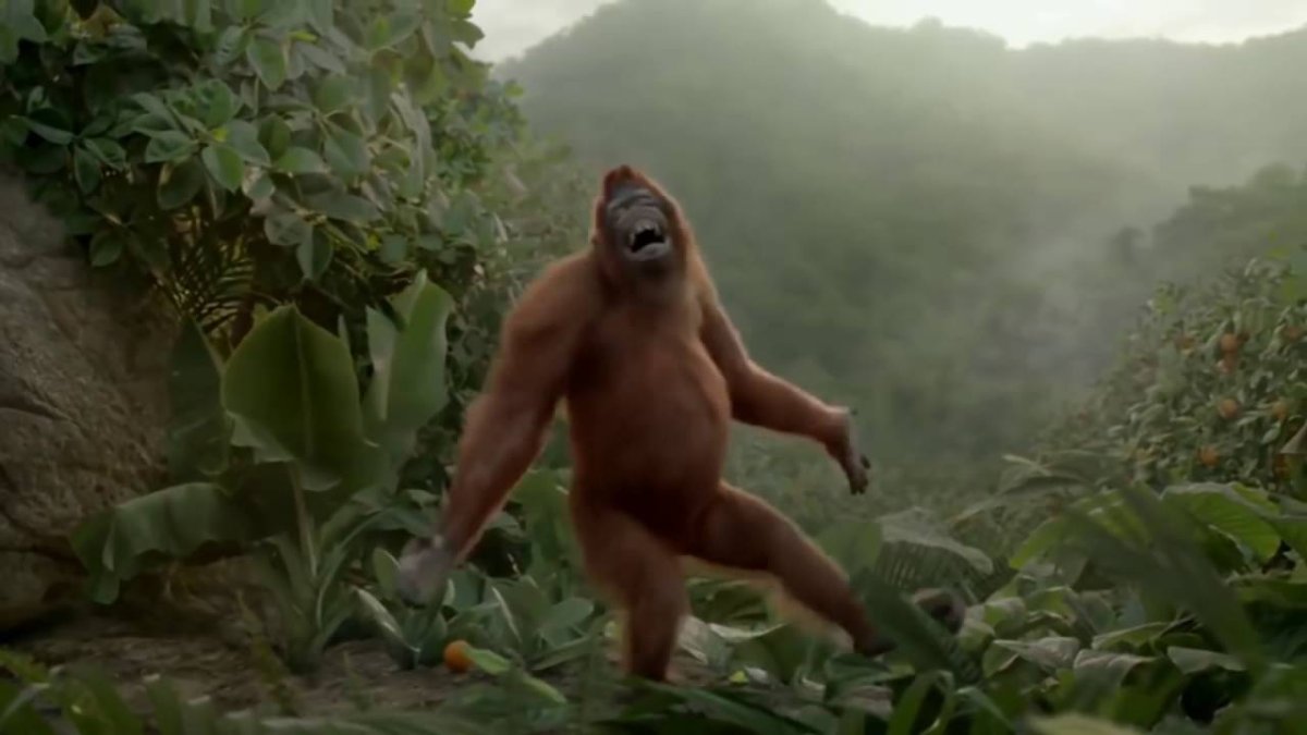 Танцующая обезьяна