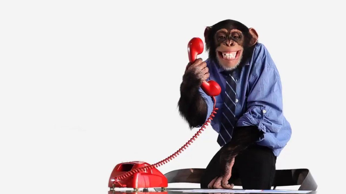 Обезьяна в костюме с телефоном