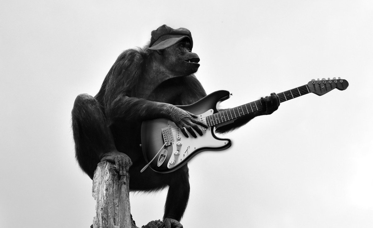 Обезьяна гитарист