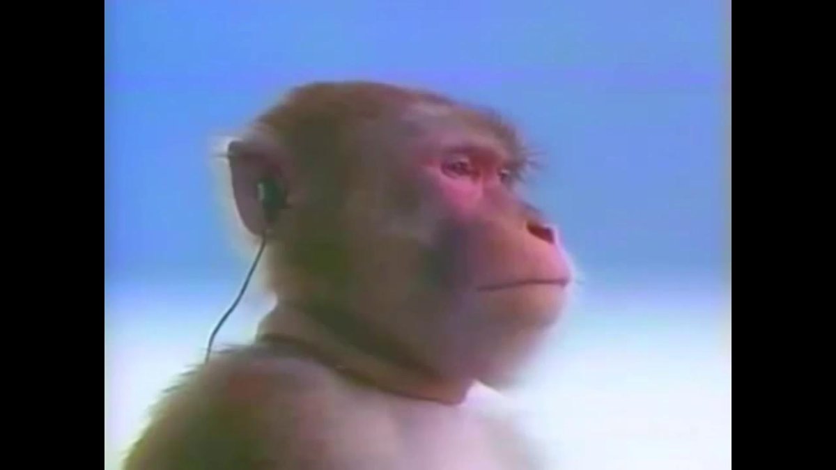 Грустная обезьяна