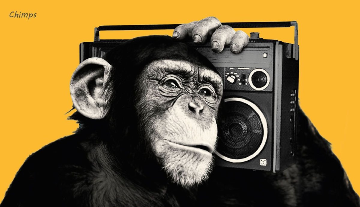 Обезьяна с магнитофоном