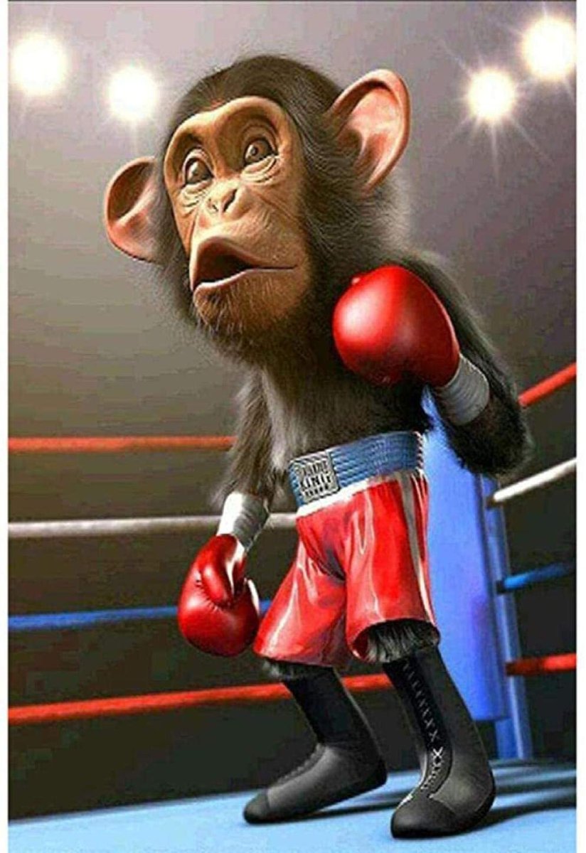 Обезьяна боксер