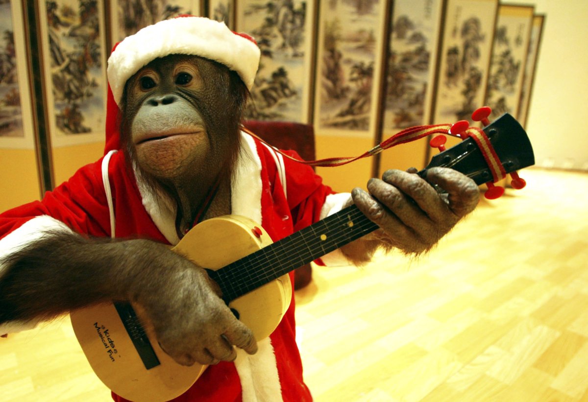 Новогодняя обезьянка
