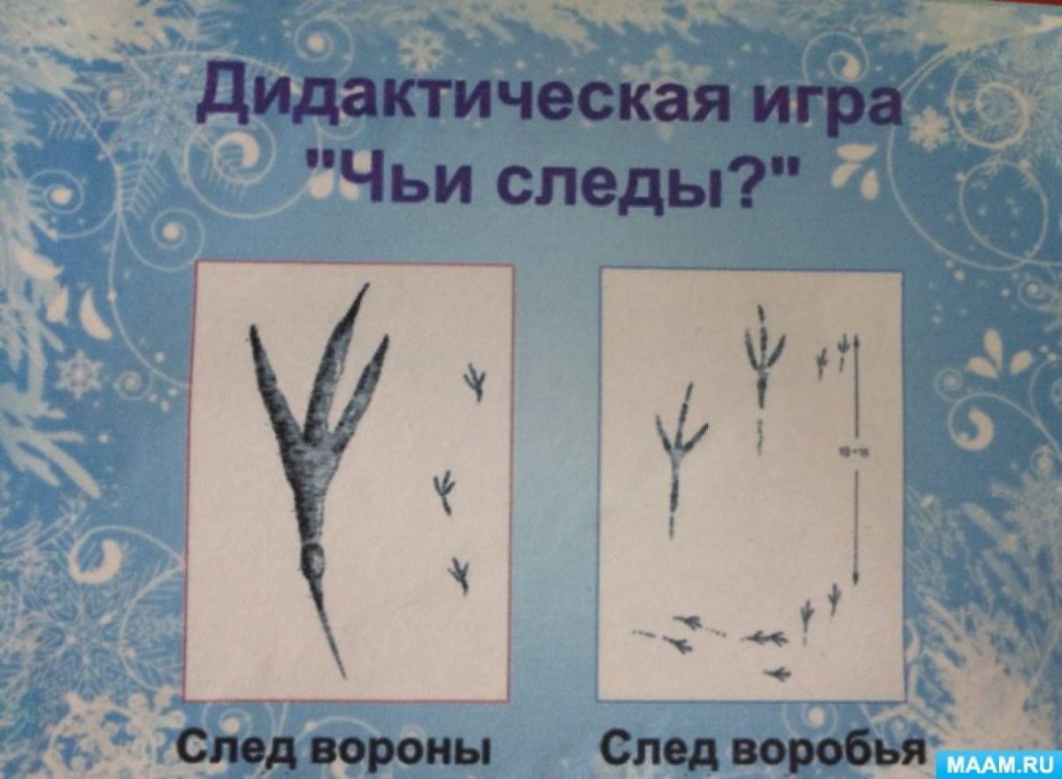 Следы птиц зимующих для дошкольников