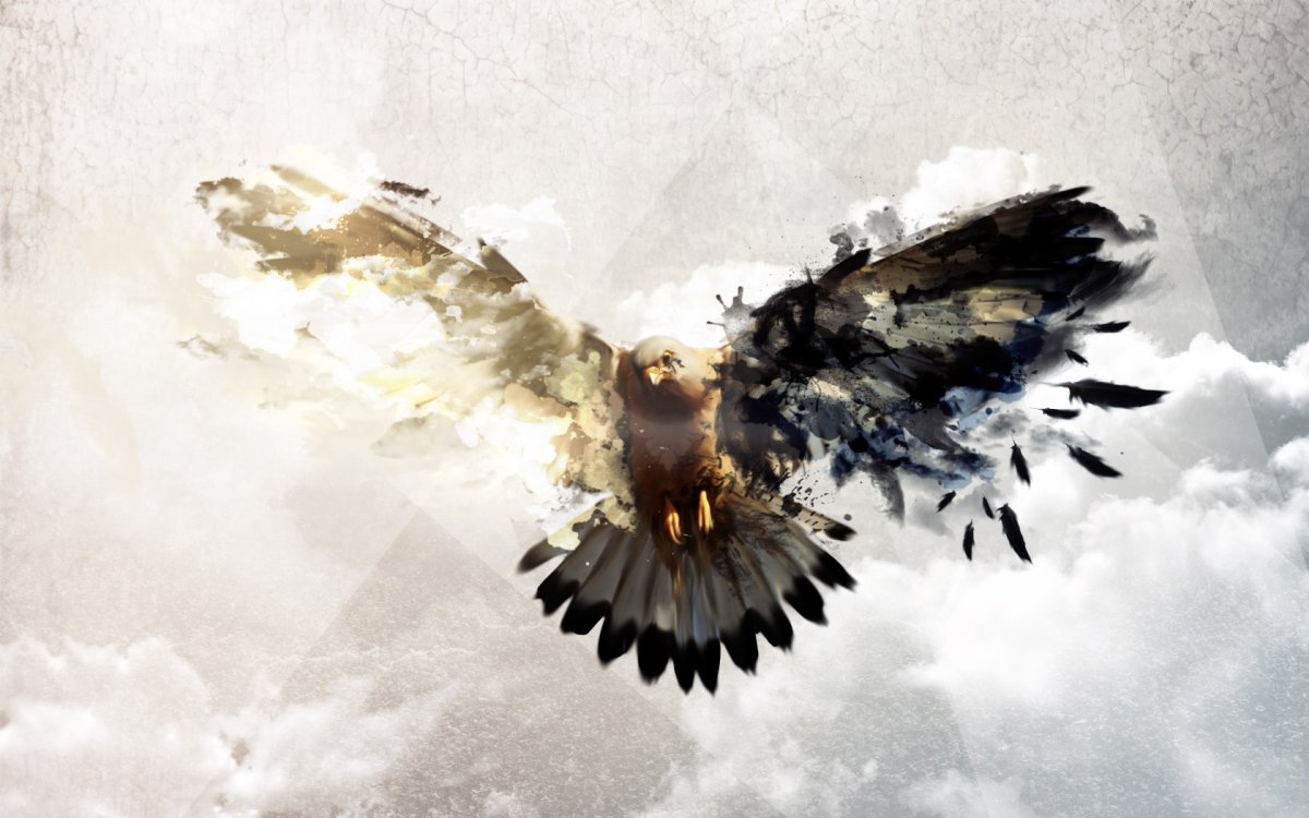 Птица в полете