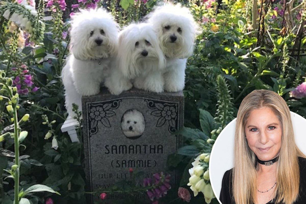 Поместье Барбары Стрейзанд