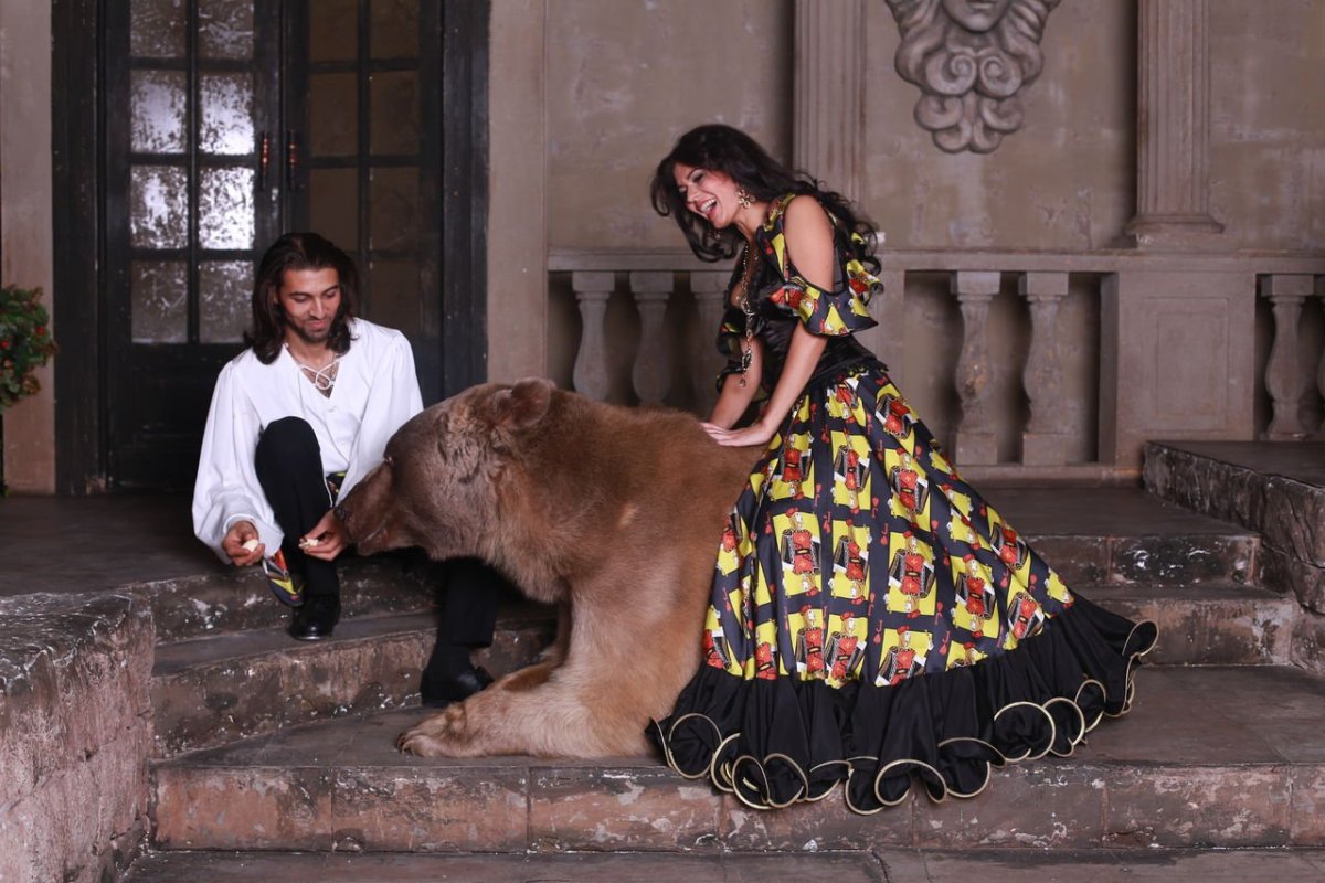 Цыгане животные