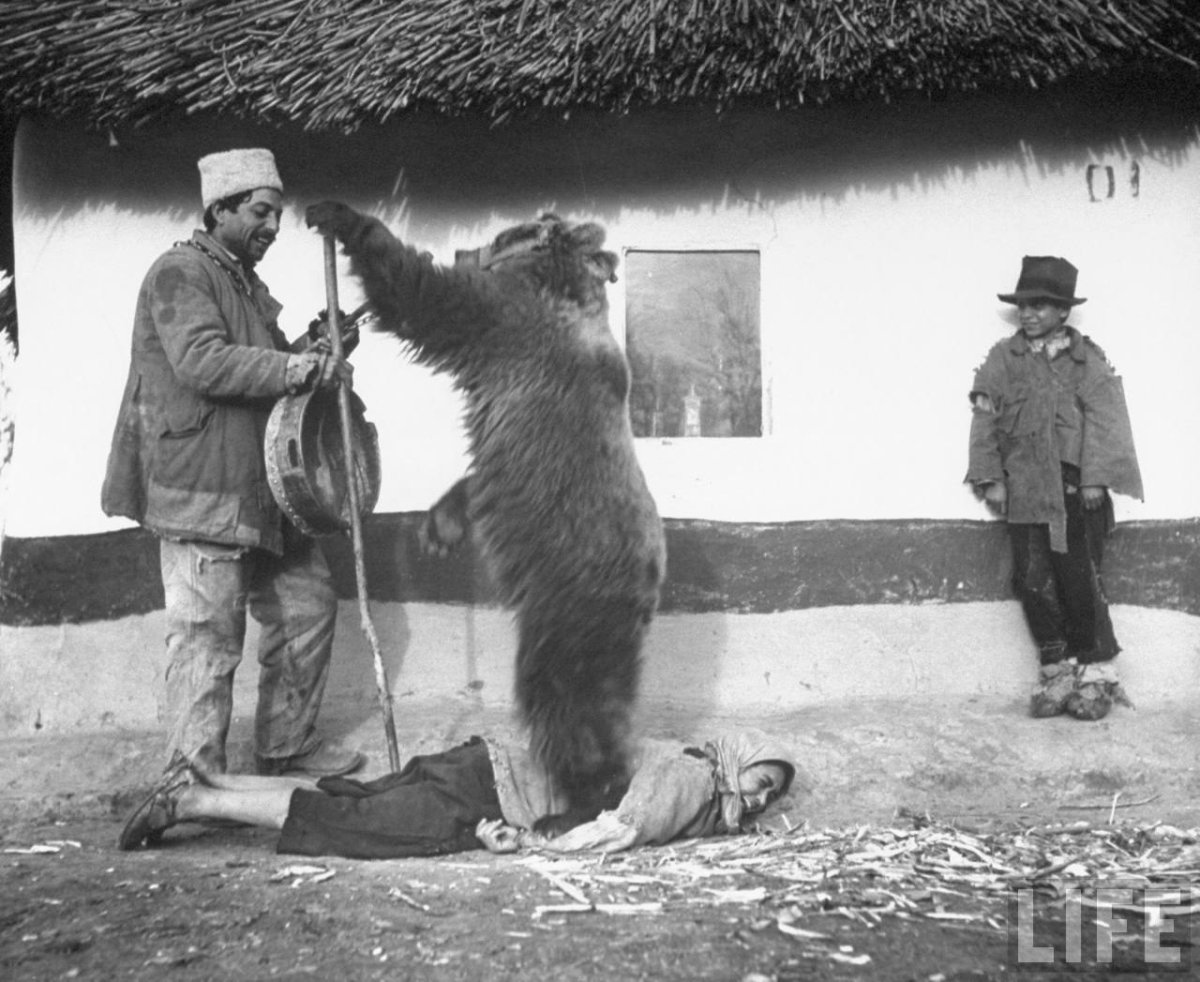 Цыгане с медведем