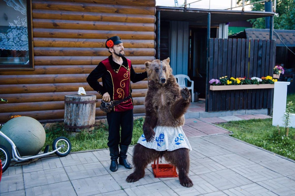 Цыганский табор с медведем