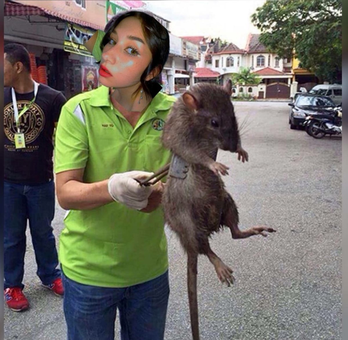 Смач большая крыса в мире