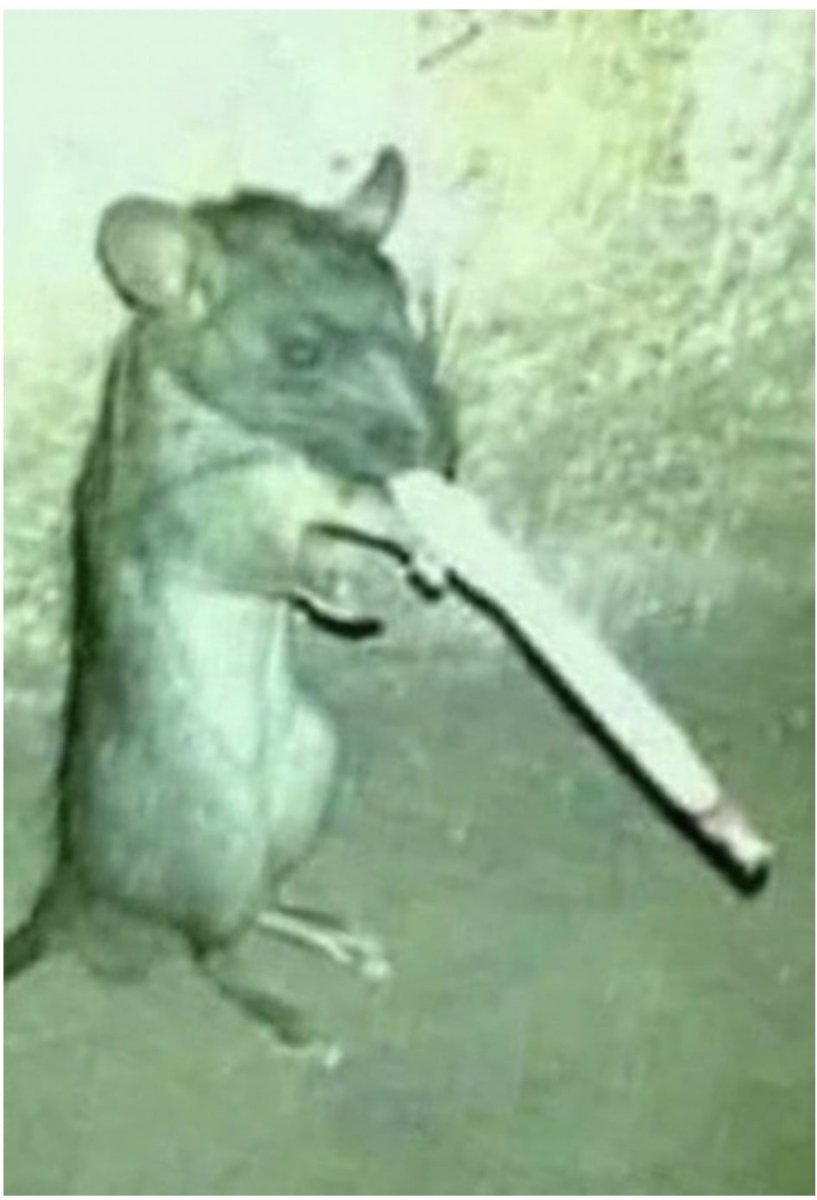 Сигареты Крис