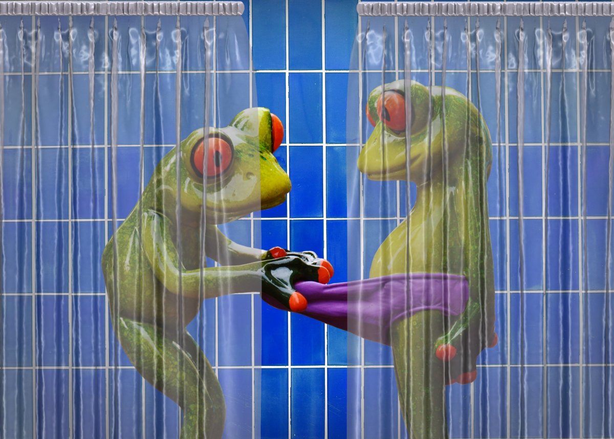 Лягушонок в душе