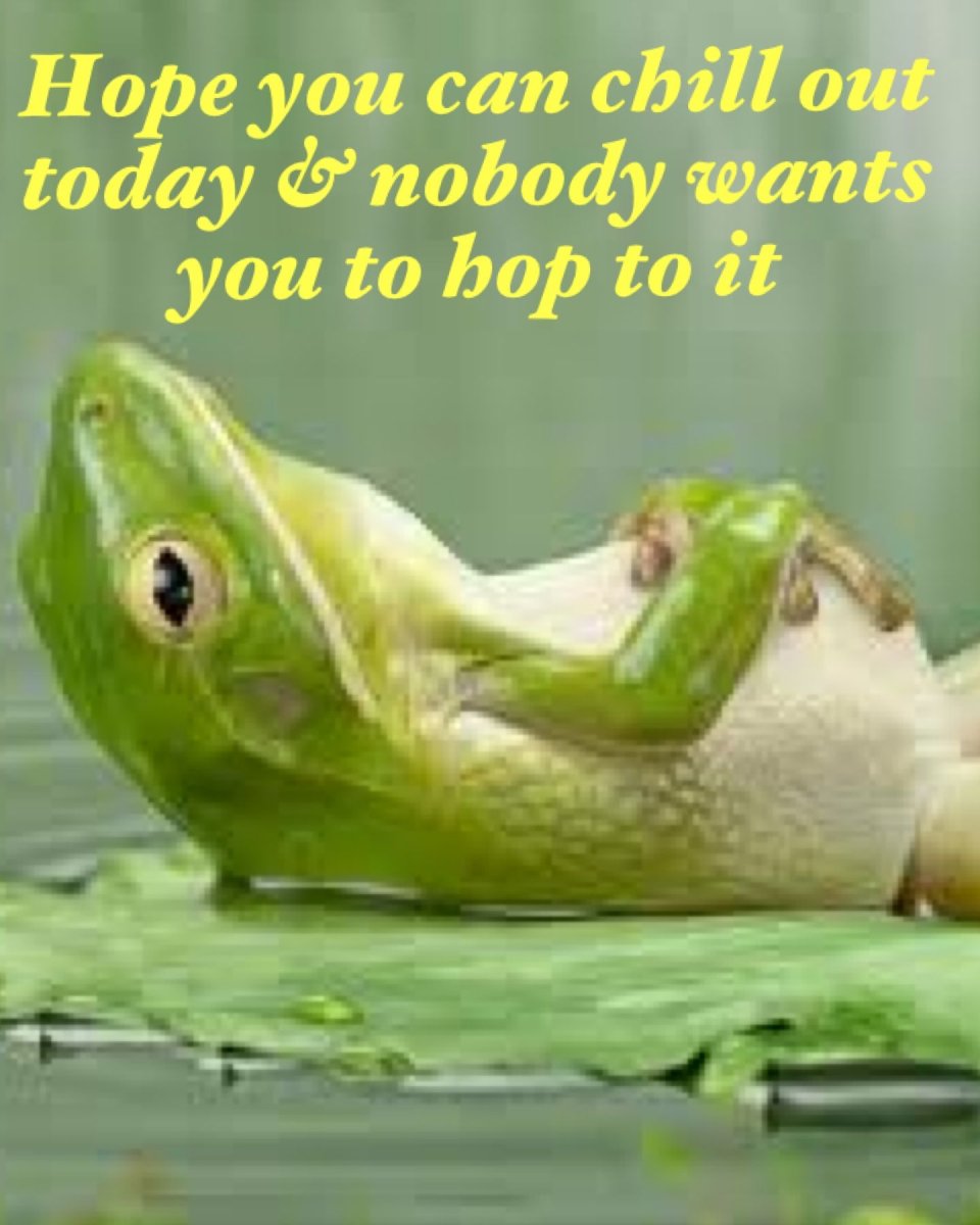 Смешные лягушки