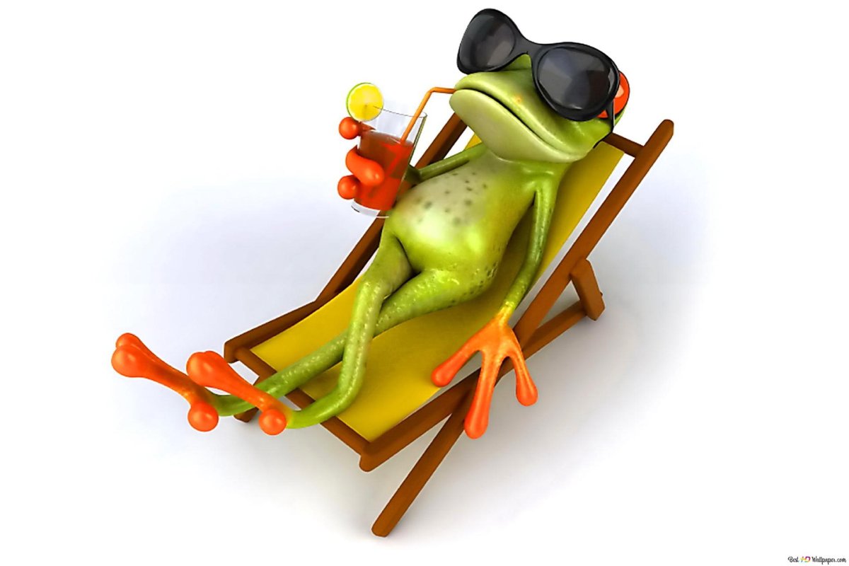 Лягушка в очках