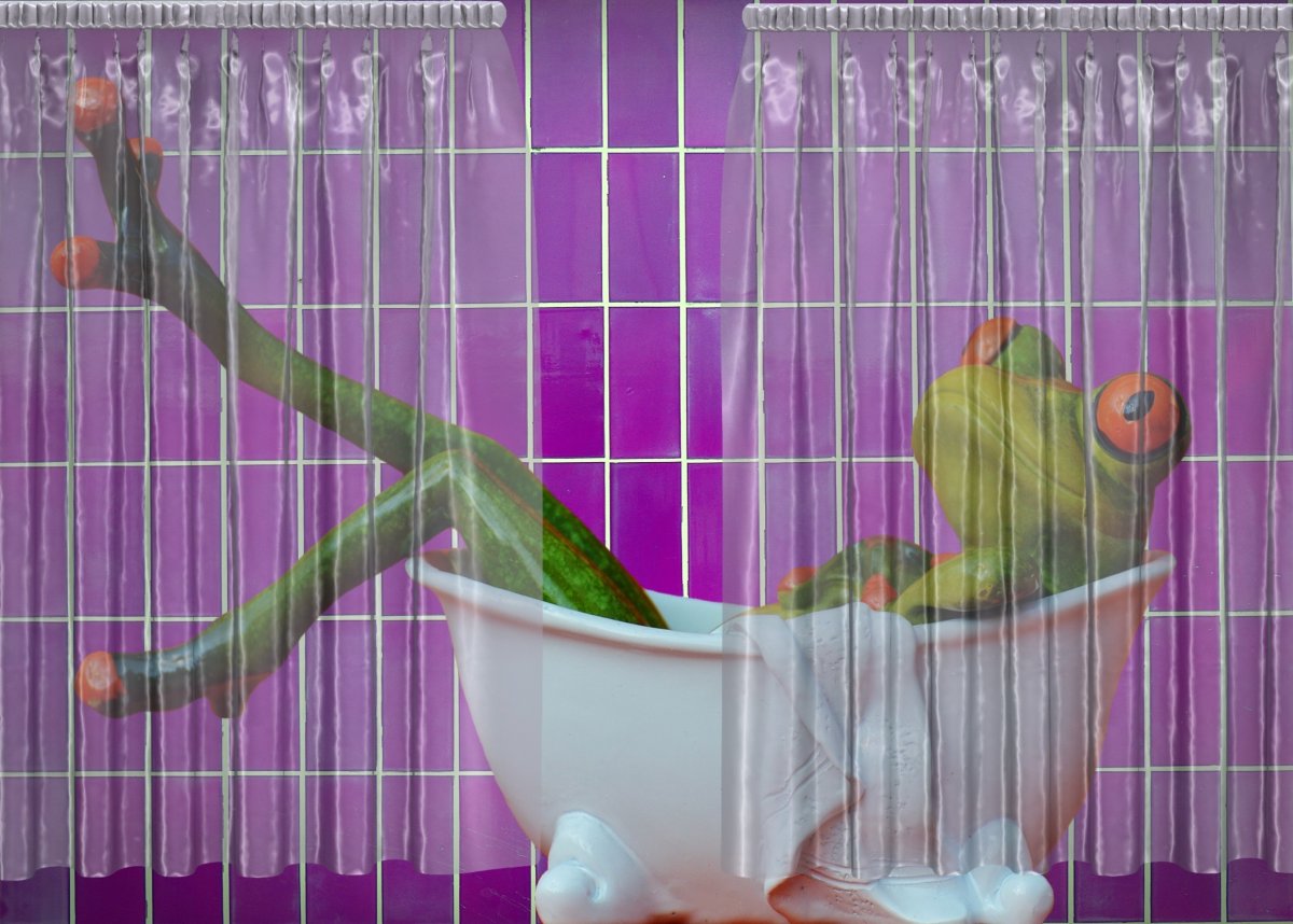 Лягушка в ванной