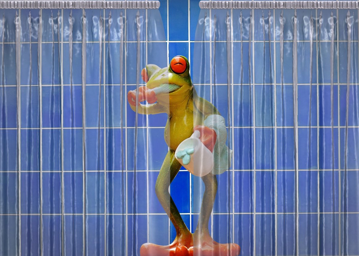 Лягушка в душе