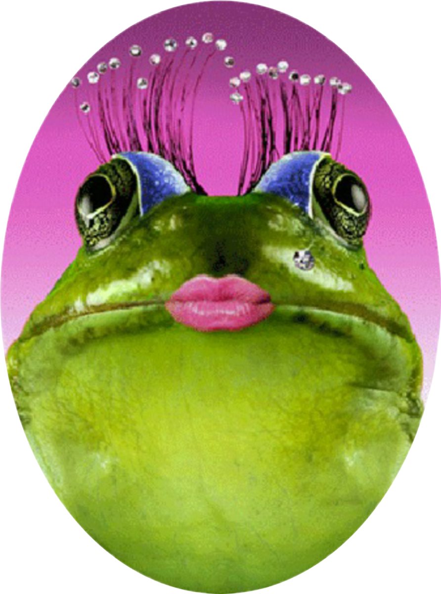 Жаба с ресницами