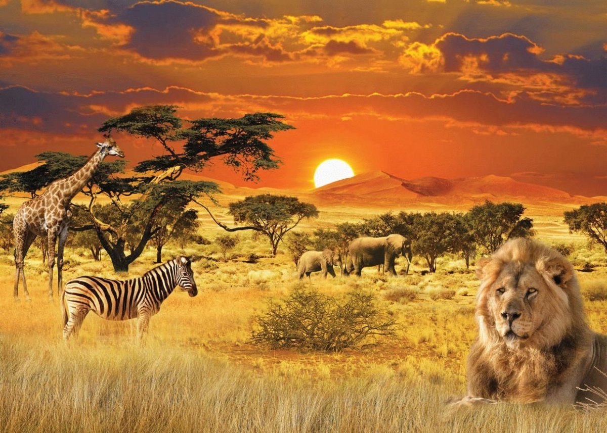 Африканская Саванна