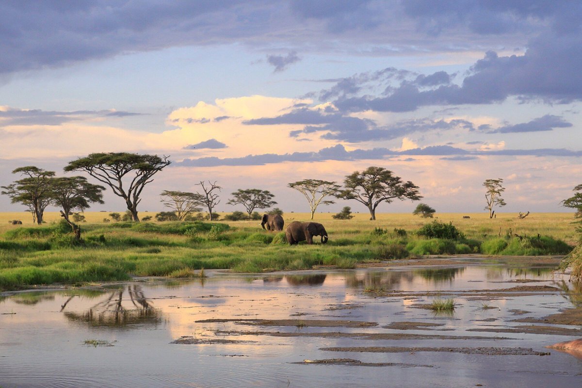 Климат Кении