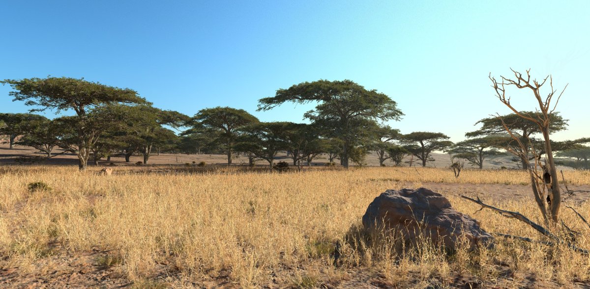 Ангола Саванна