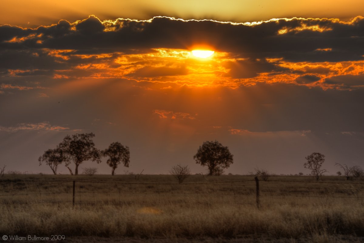 Прерия и Саванна