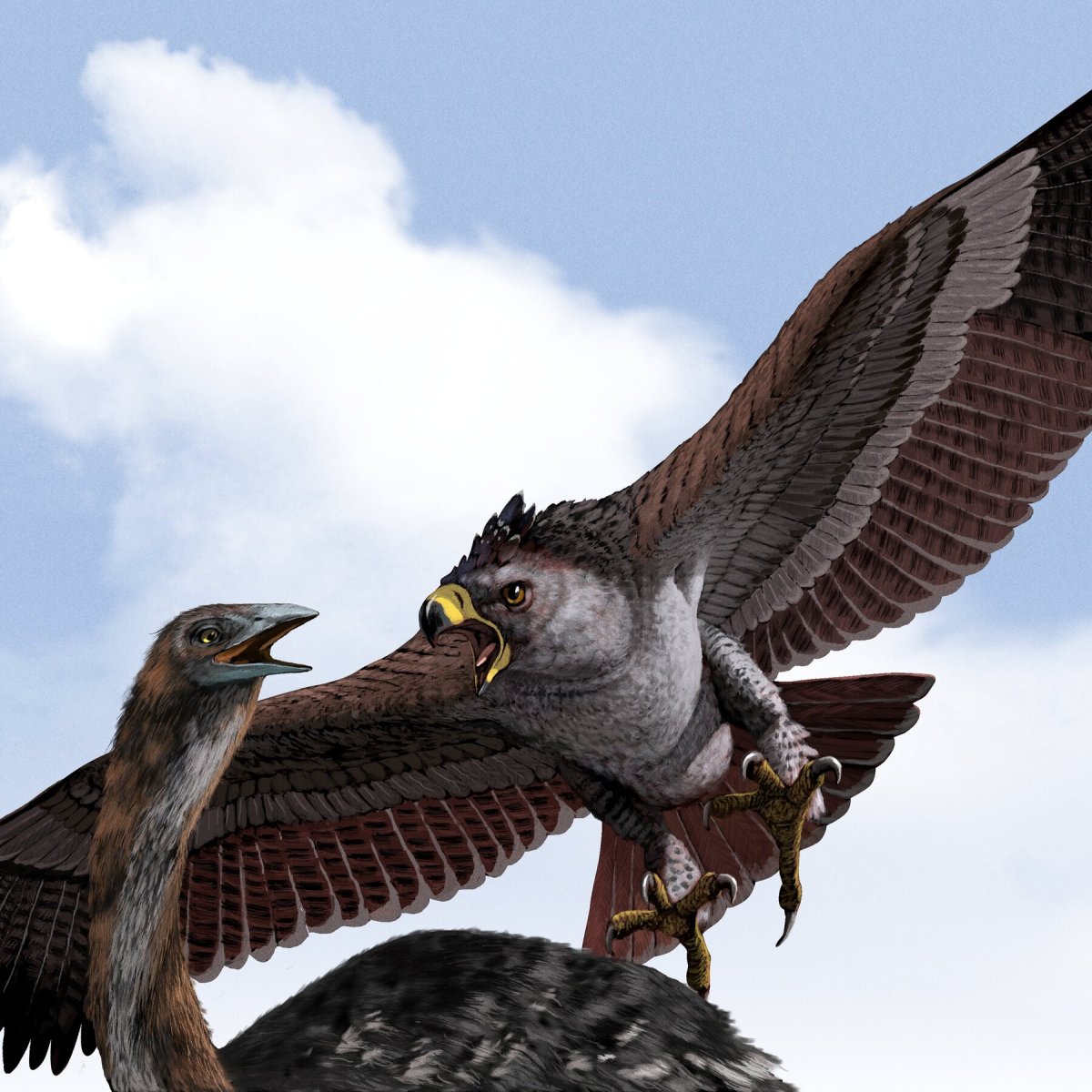 Аргентавис — самая большая птица в мире