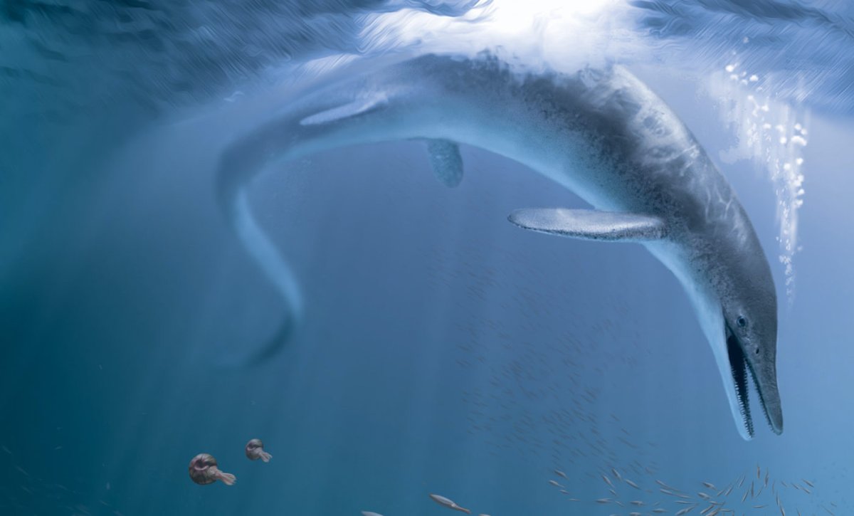 Cymbospondylus youngorum