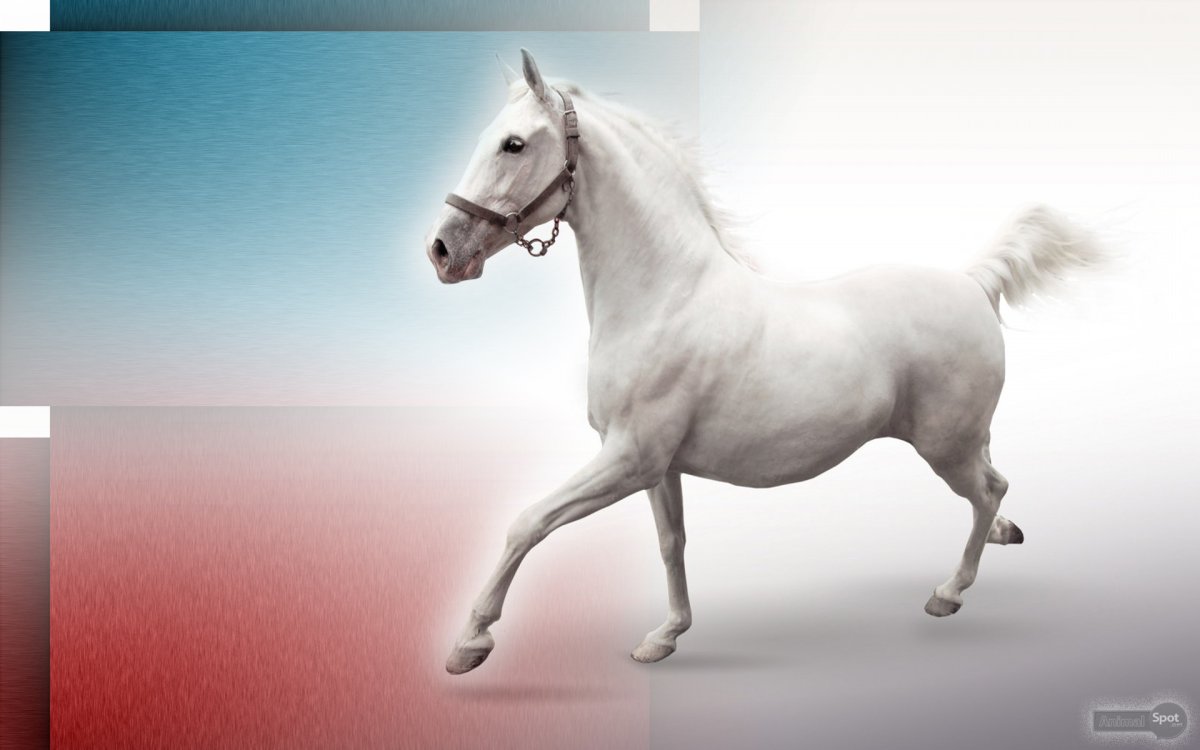 Белая металлическая лошадь