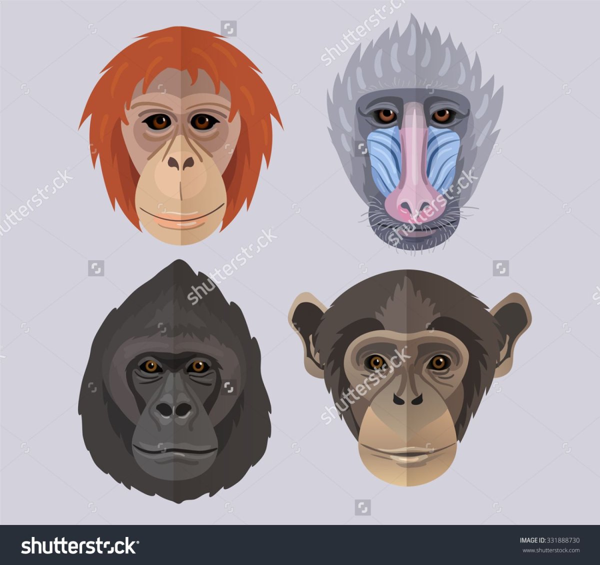 Тотемное животное обезьяна