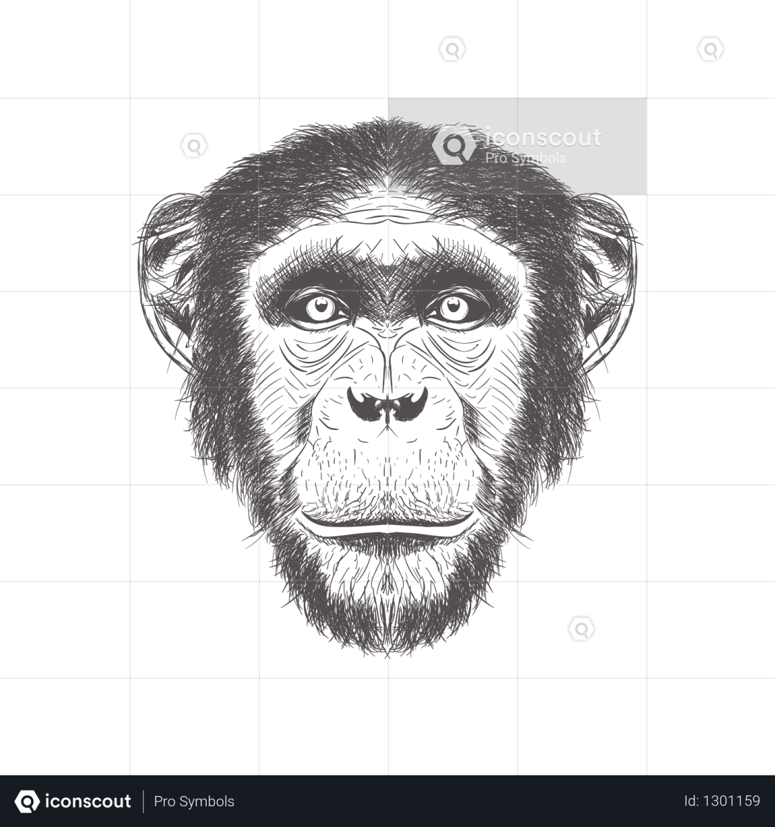 Обезьяна в профиль рисунок