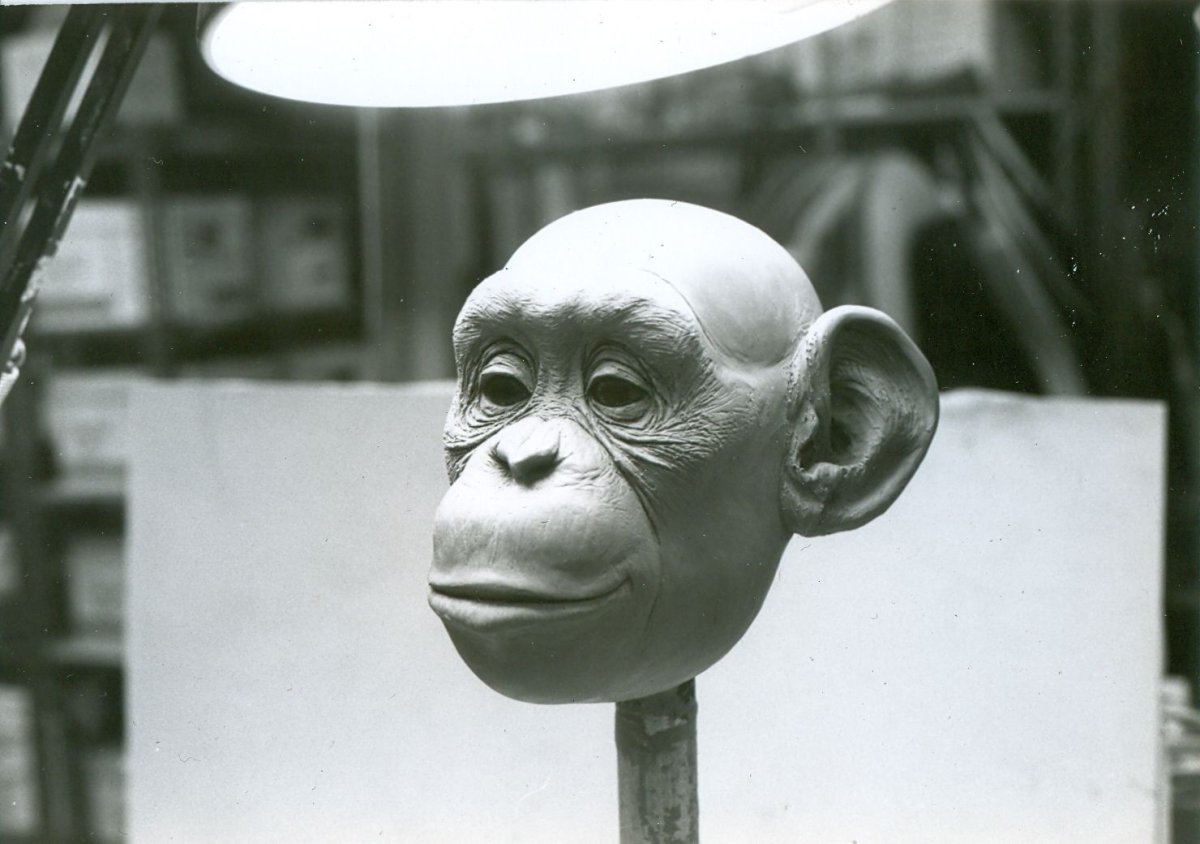 Обезьяна в голове