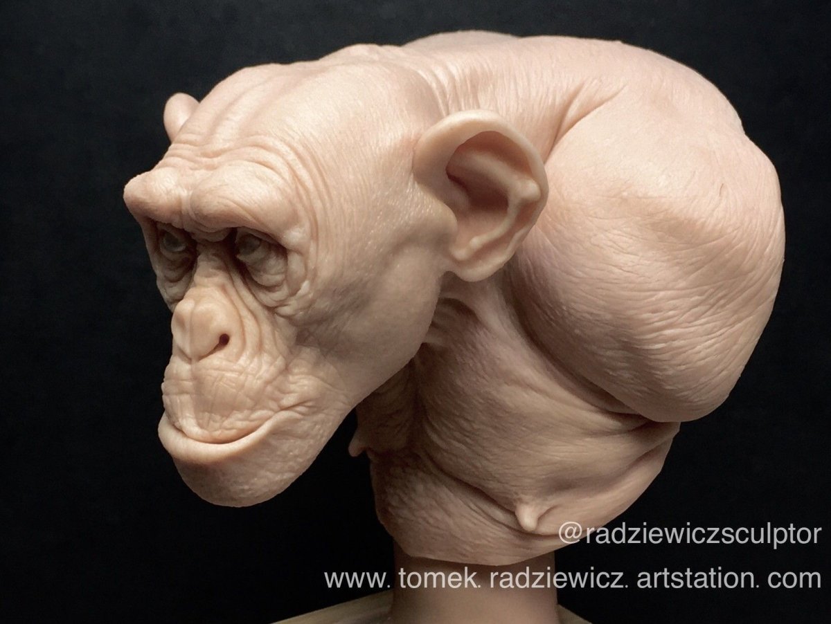 Обезьяна лицо референс