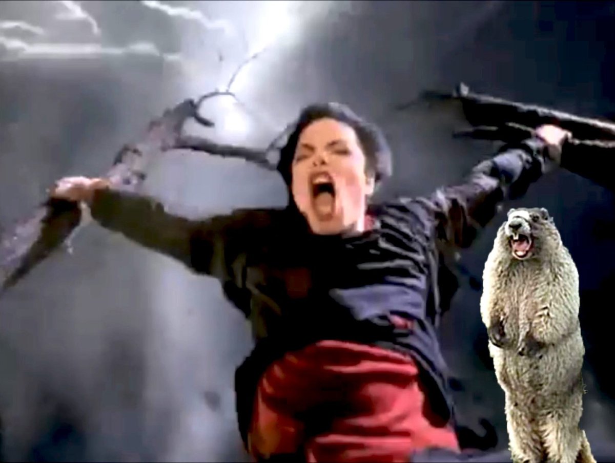 Сурок кричит