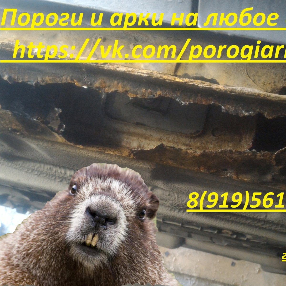 Ниссан и бобры