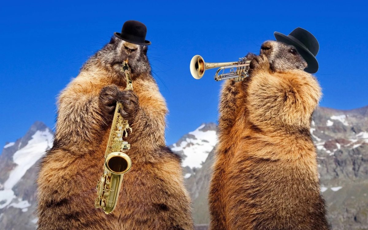 Уайртонский Вилли сурок