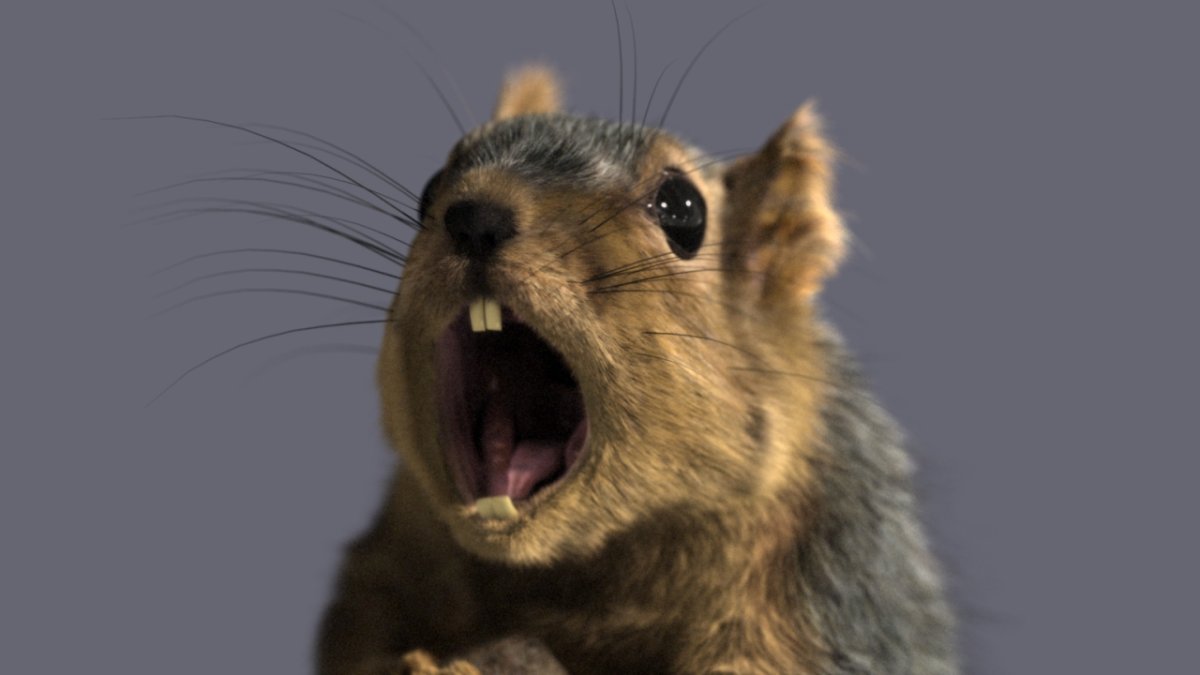 Орущий бобер