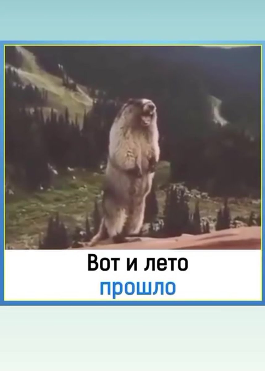 Бобёр орёт в горах