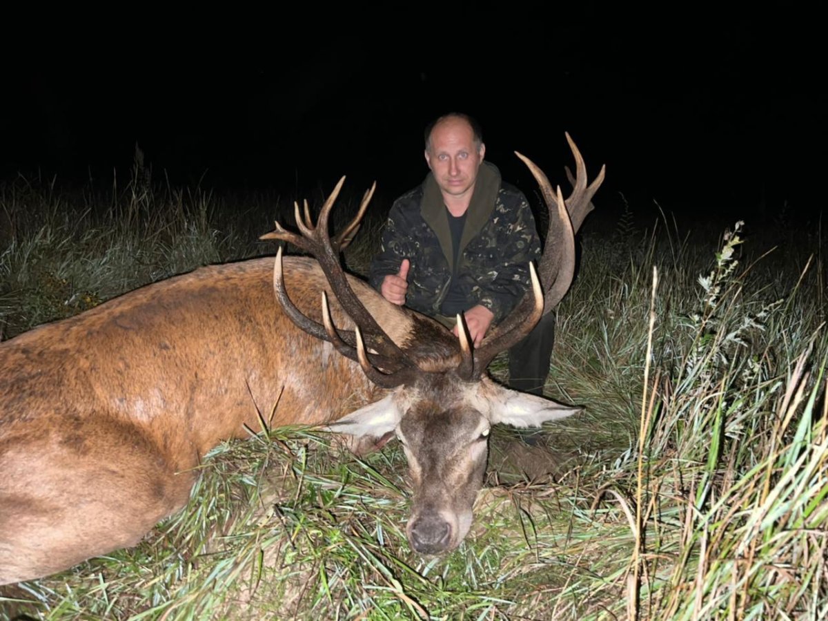 Лось Размеры