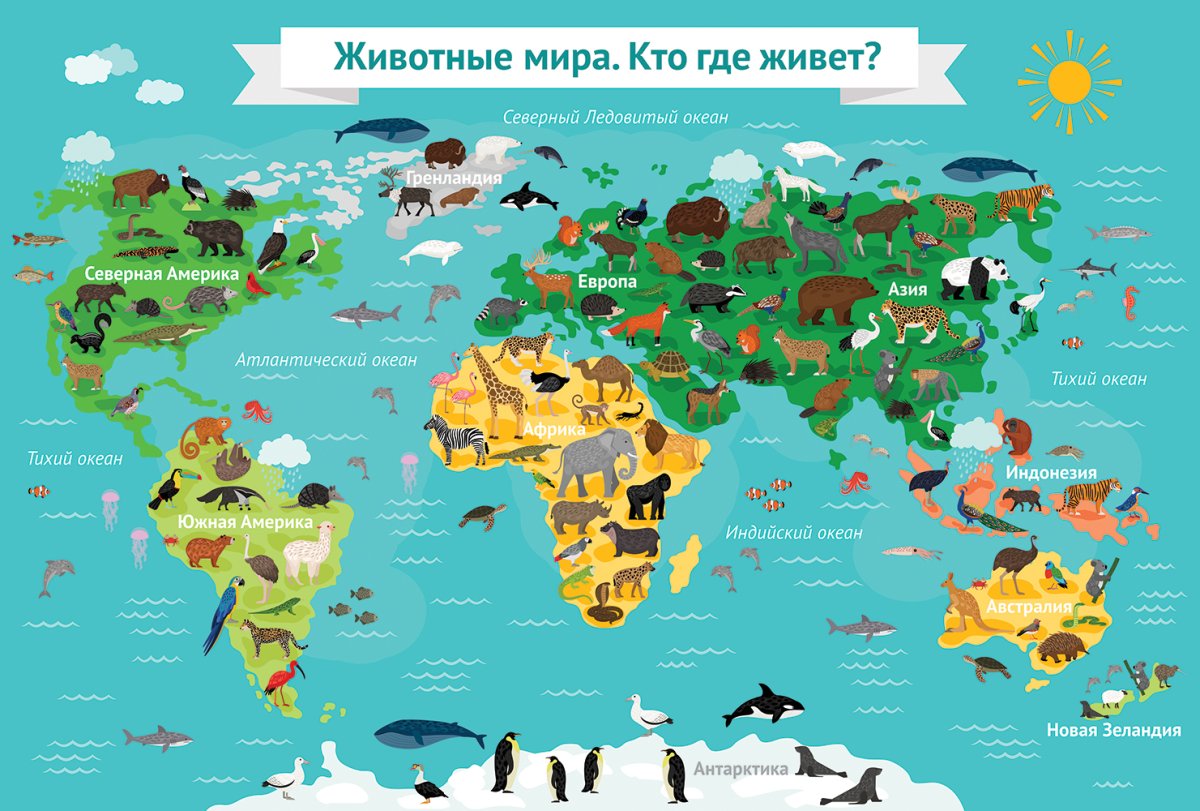 Карта мира животные