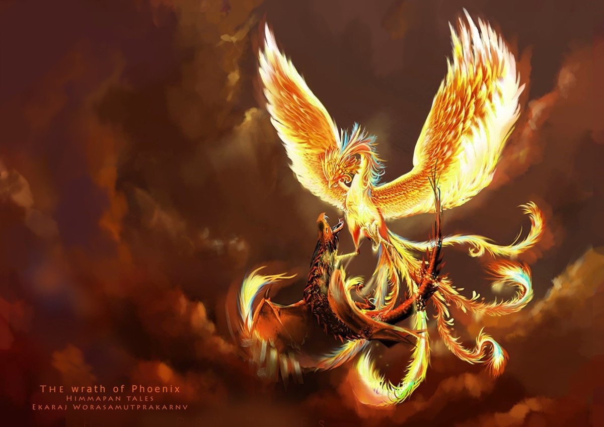 Жар птица и Рарог