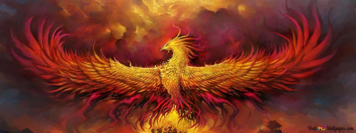 Птица Феникс арт