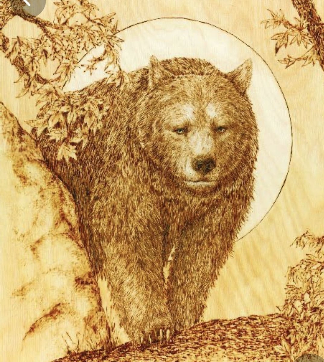 Пирография по дереву медведь
