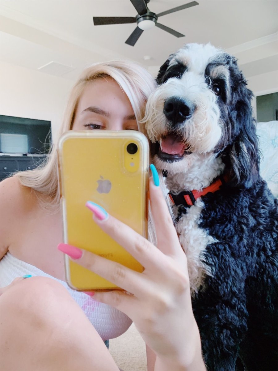 Щенок с айфоном