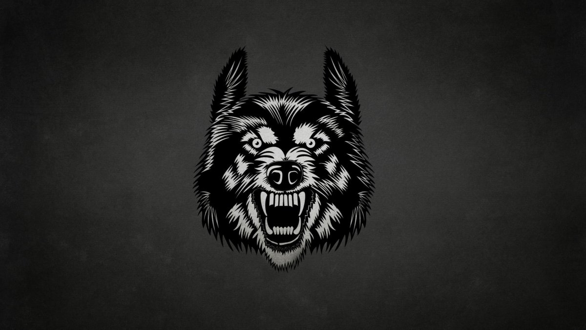 Голова волка на черном фоне