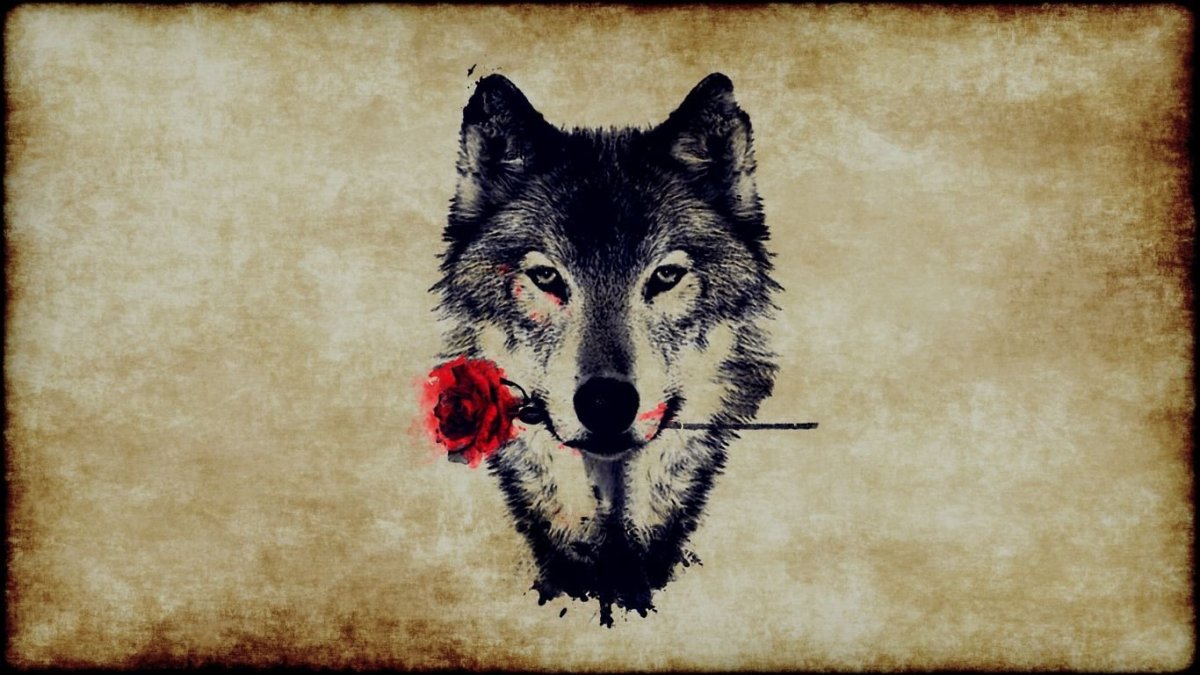 Картинки на рабочий стол волки