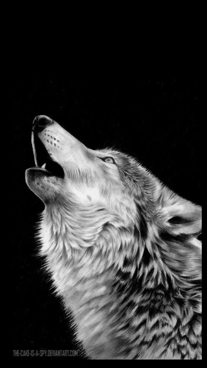 Волки на айфон