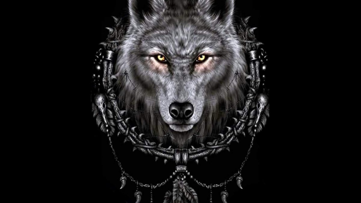 Волк на темном фоне