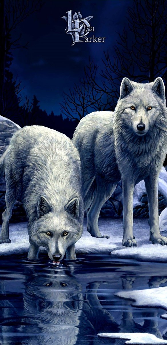 Волк обои на рабочий